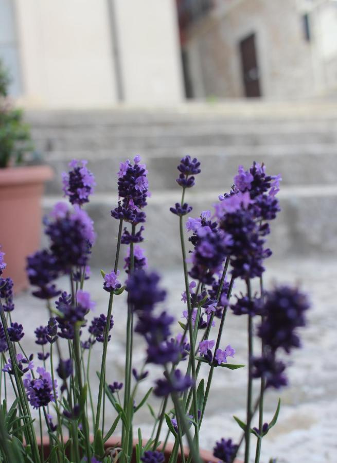 B&B Al Gravattone Venosa Zewnętrze zdjęcie